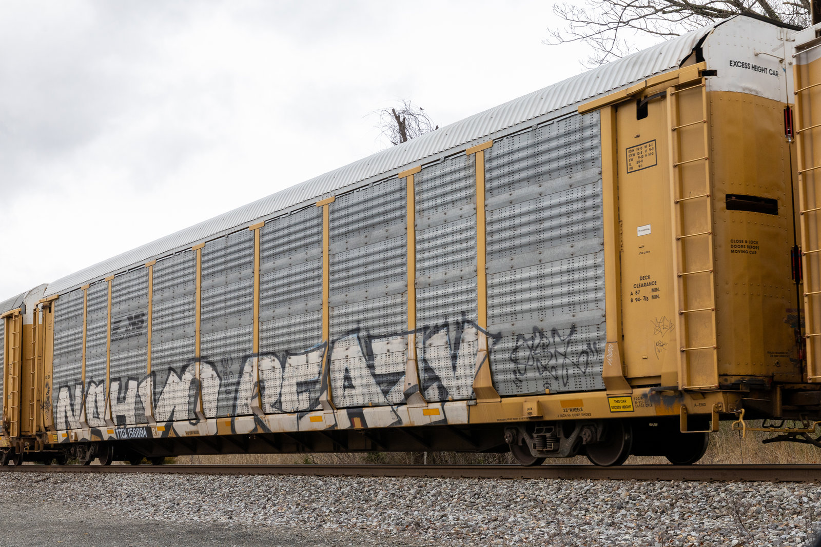 TTGX 156884