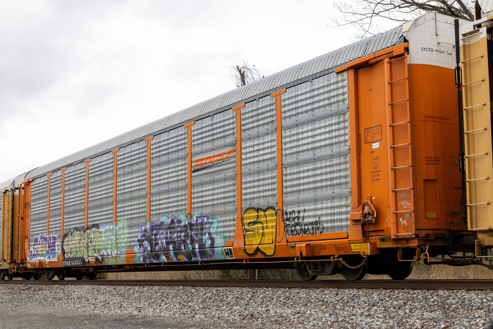 TTGX 953321