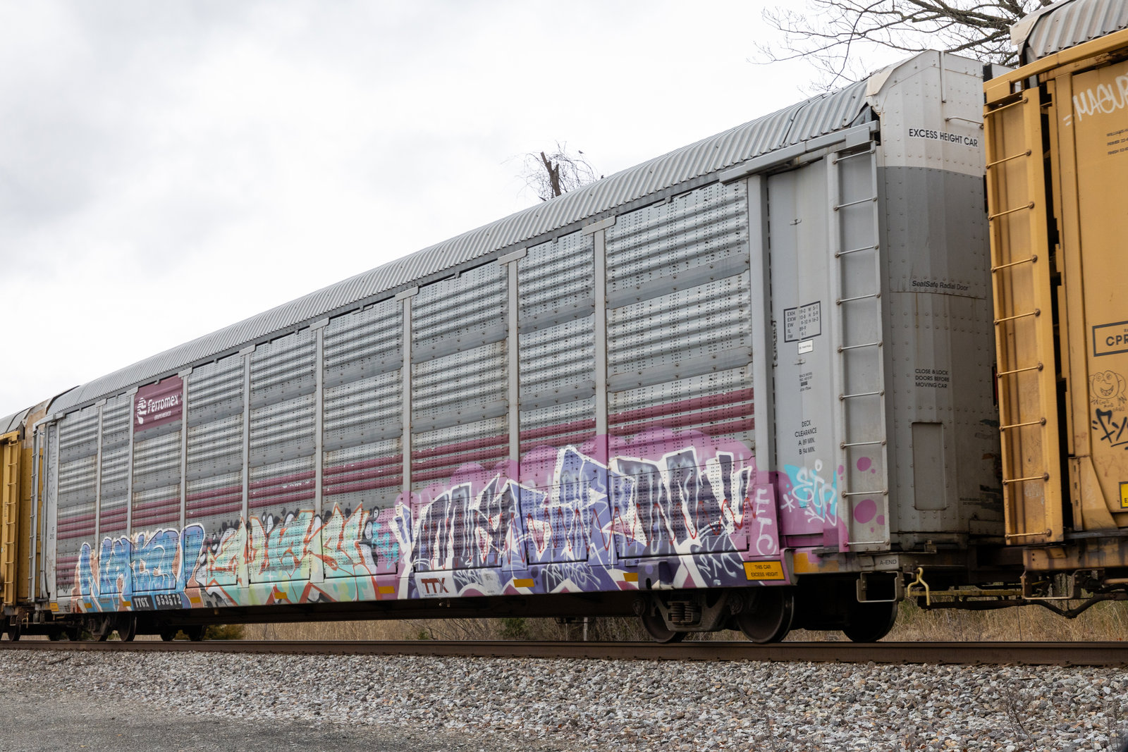 TTGX 953572