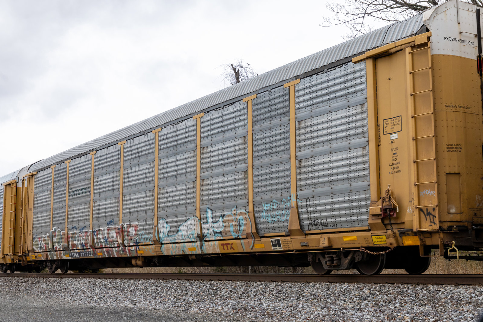 TTGX 965762