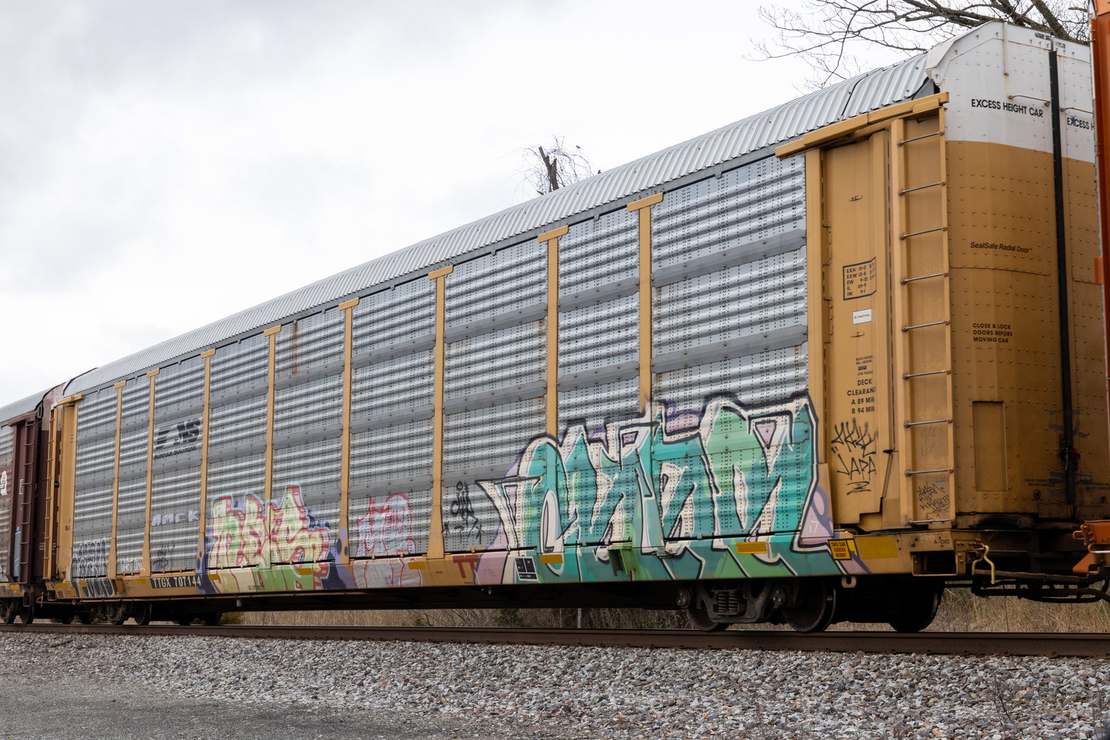 TTGX 707144