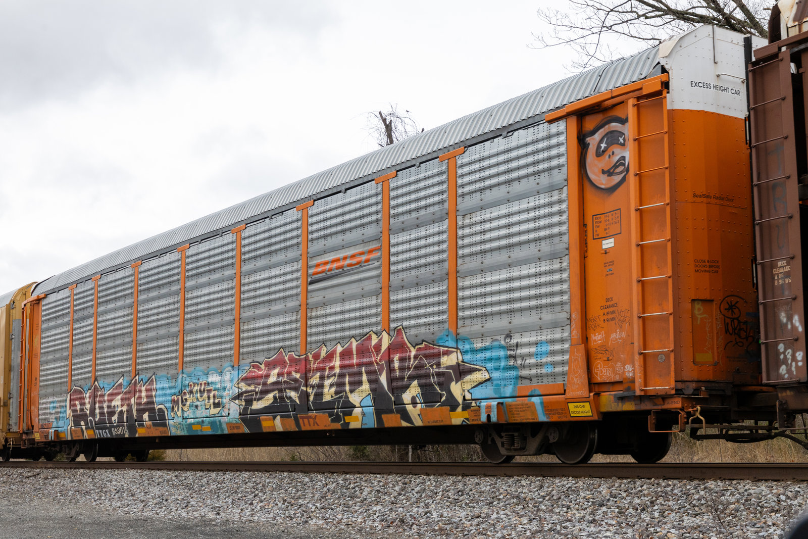TTGX 953015