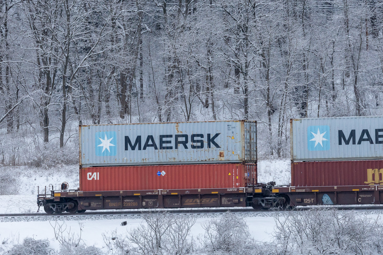 BNSF 239208B