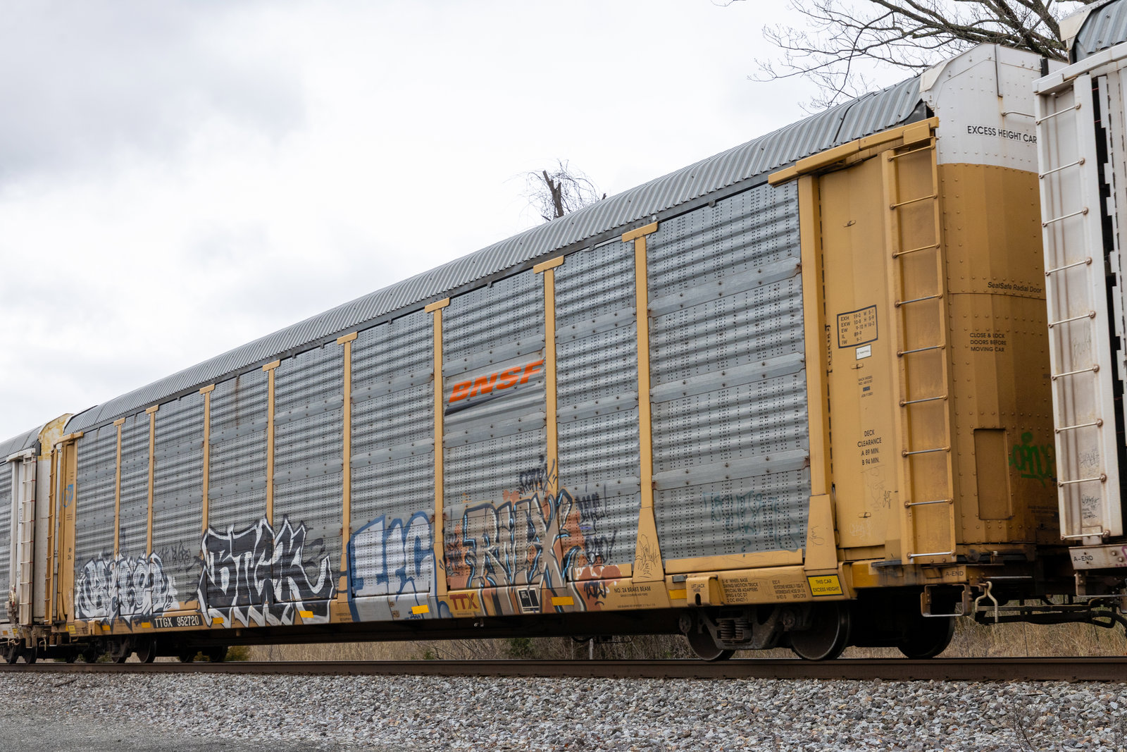 TTGX 952720