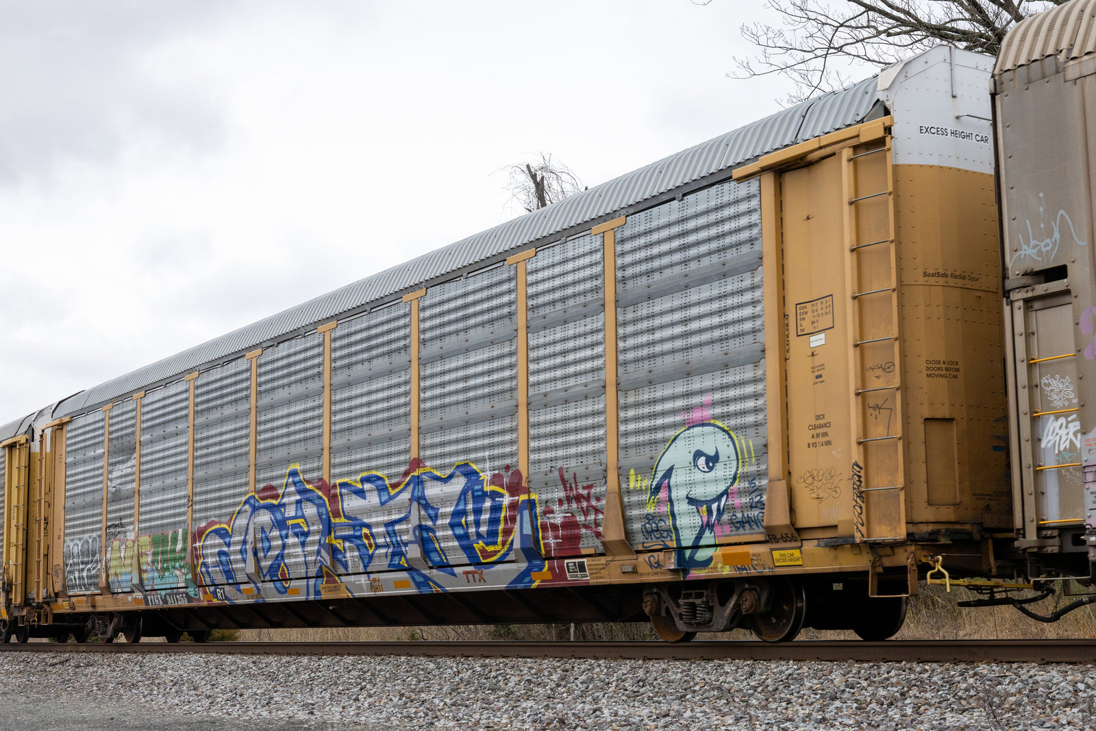 TTGX 941255