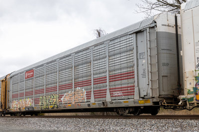 TTGX 706871
