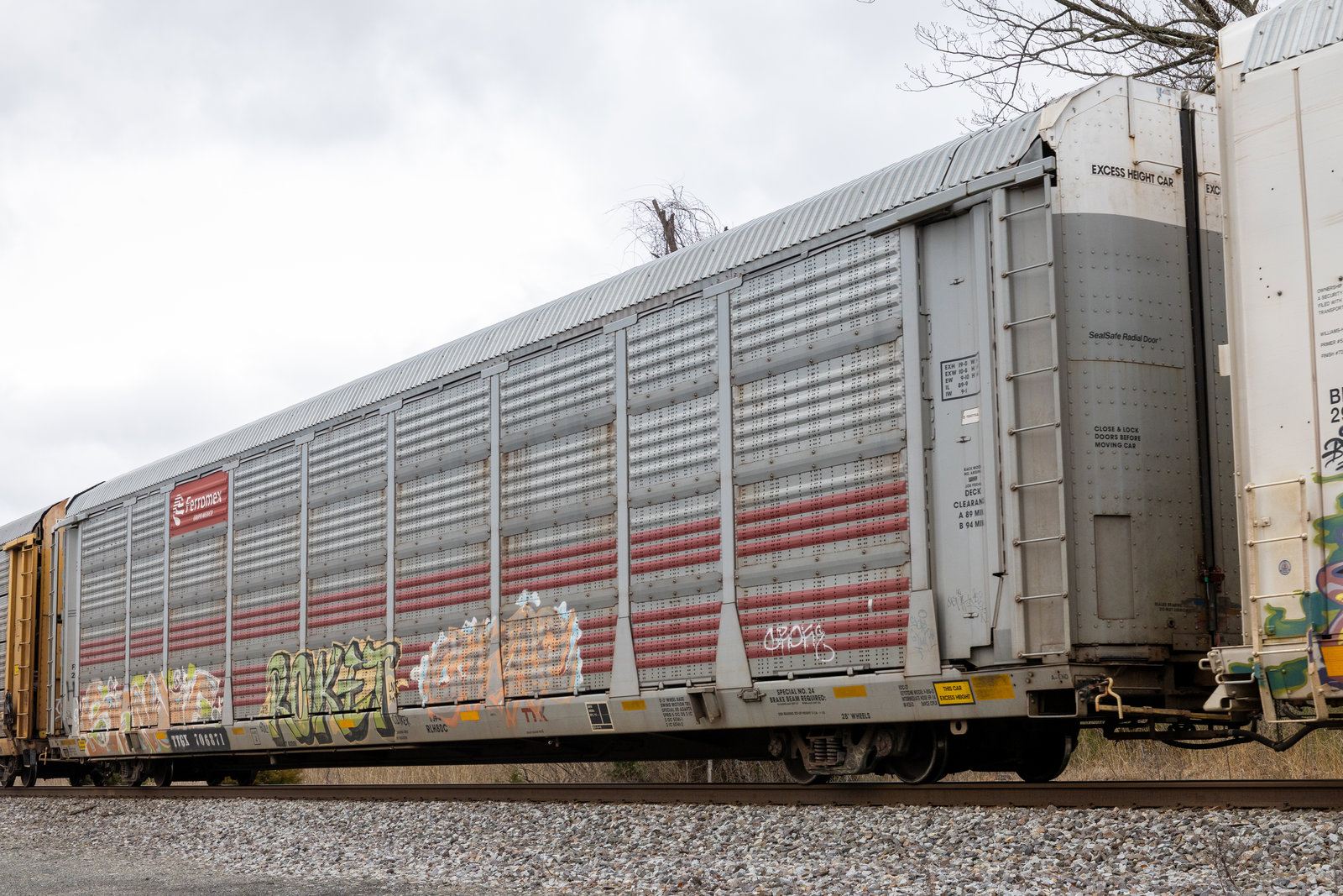 TTGX 706871