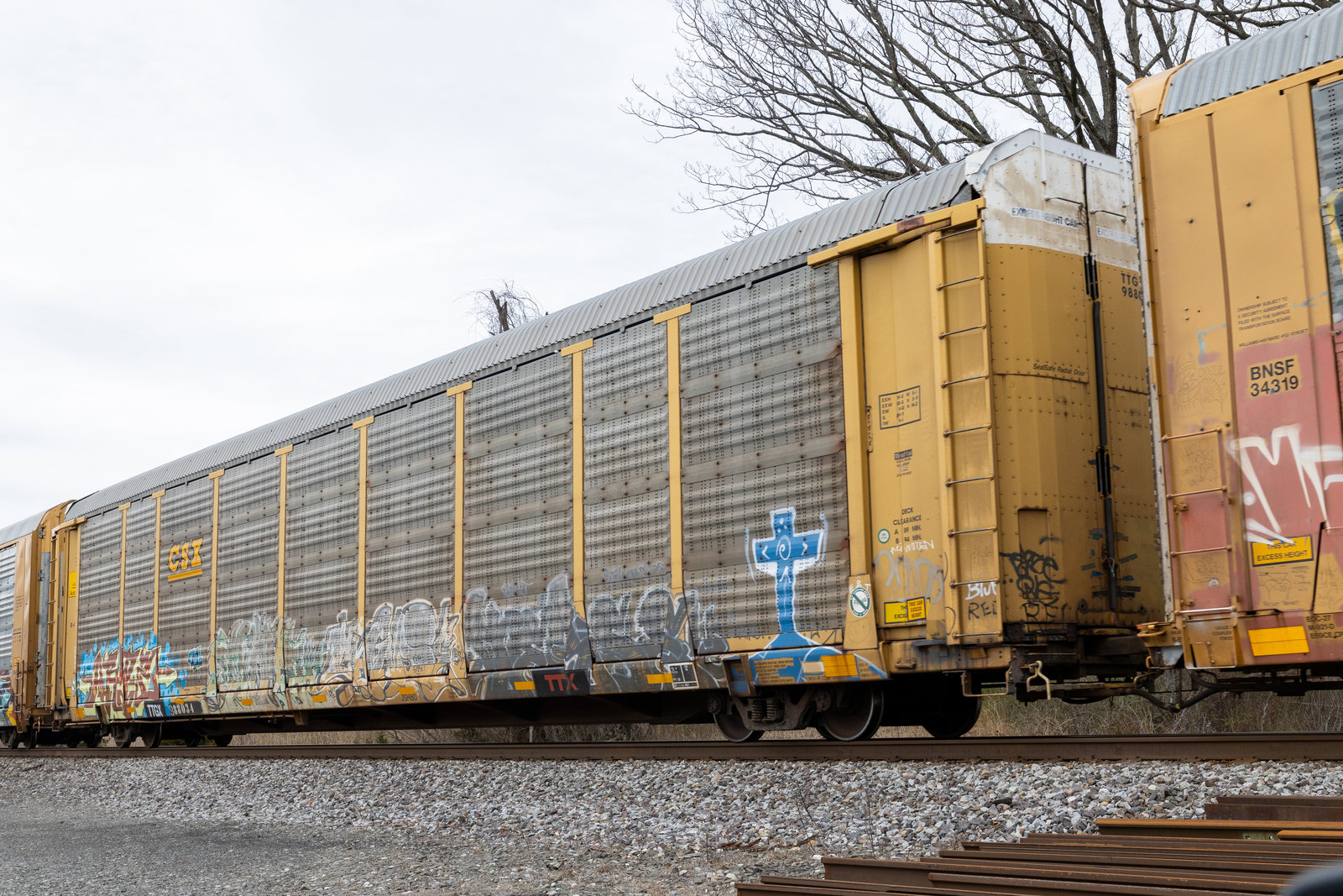 TTGX 988034