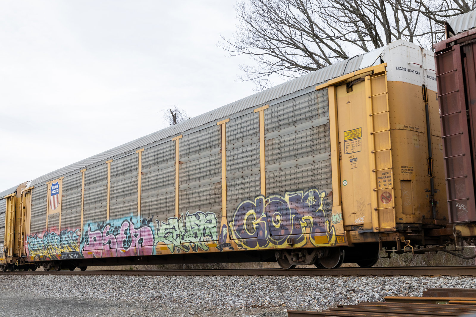 TTGX 997151