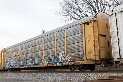 TTGX 980592