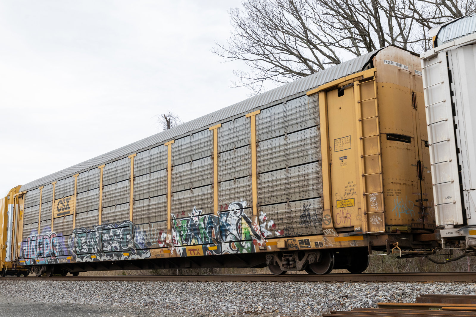 TTGX 980592