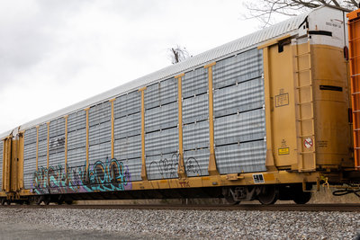 TTGX 254465