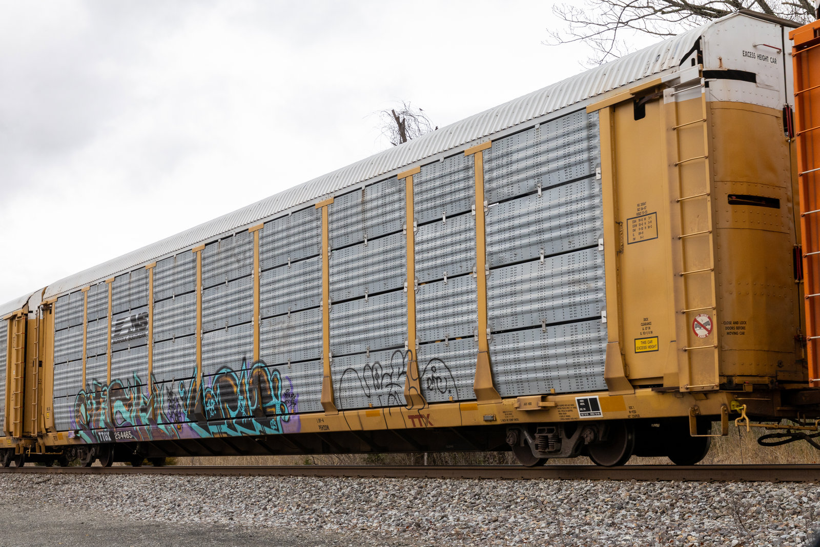 TTGX 254465