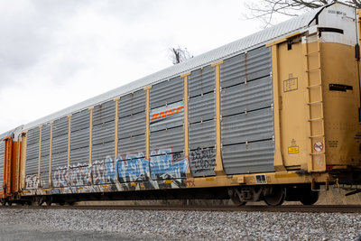 TTGX 159761