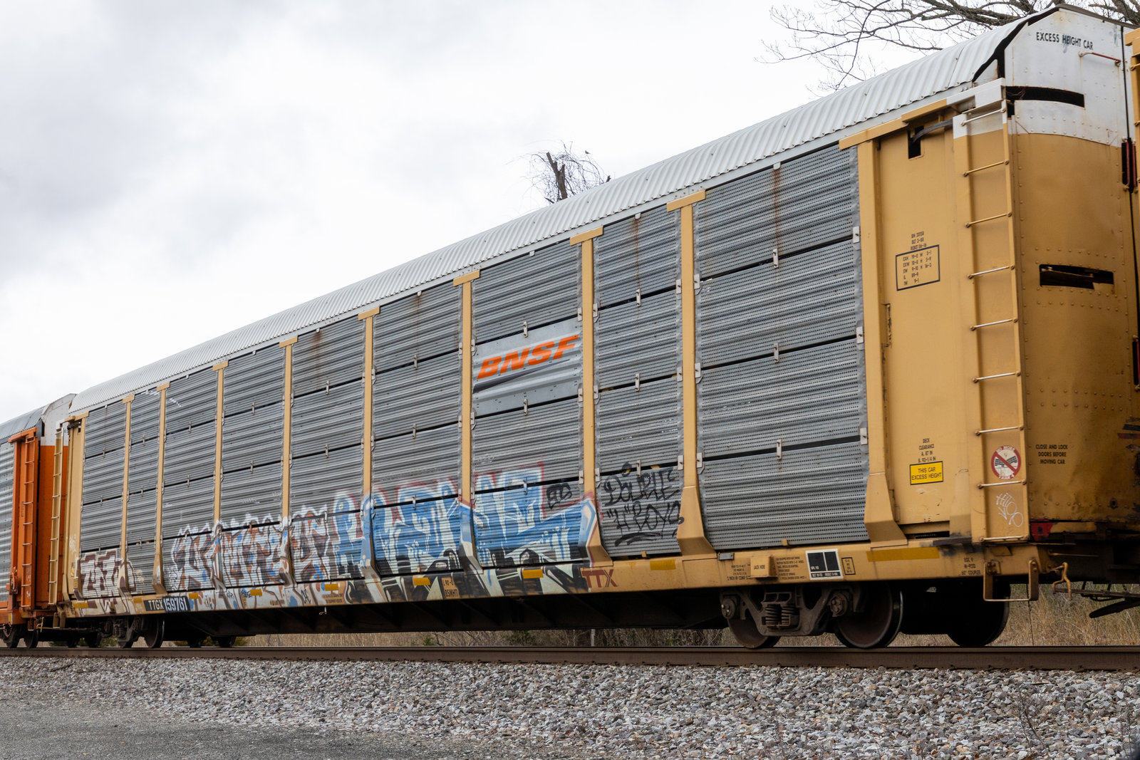 TTGX 159761