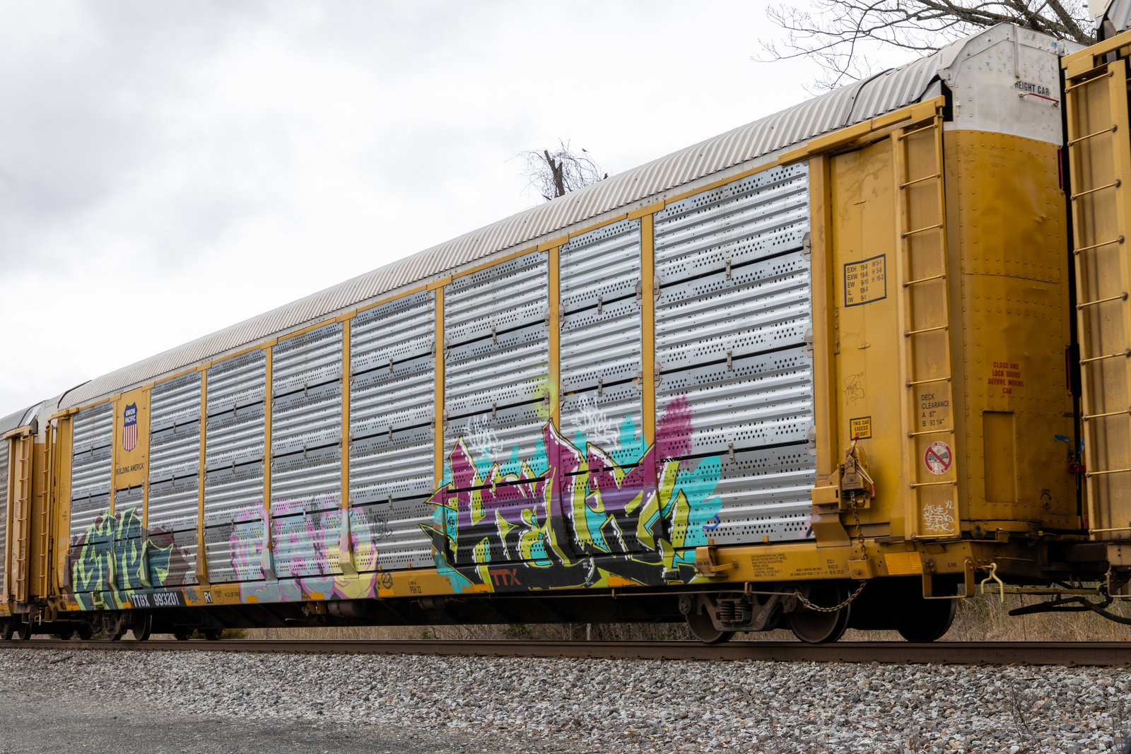 TTGX 993201