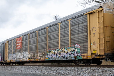 TTGX 987955