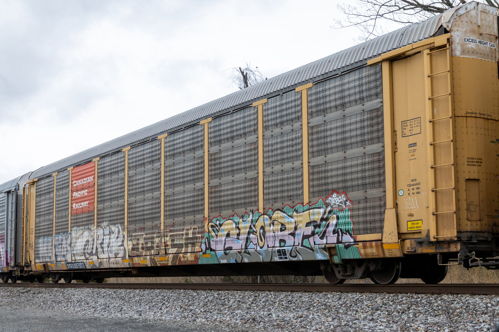 TTGX 987955
