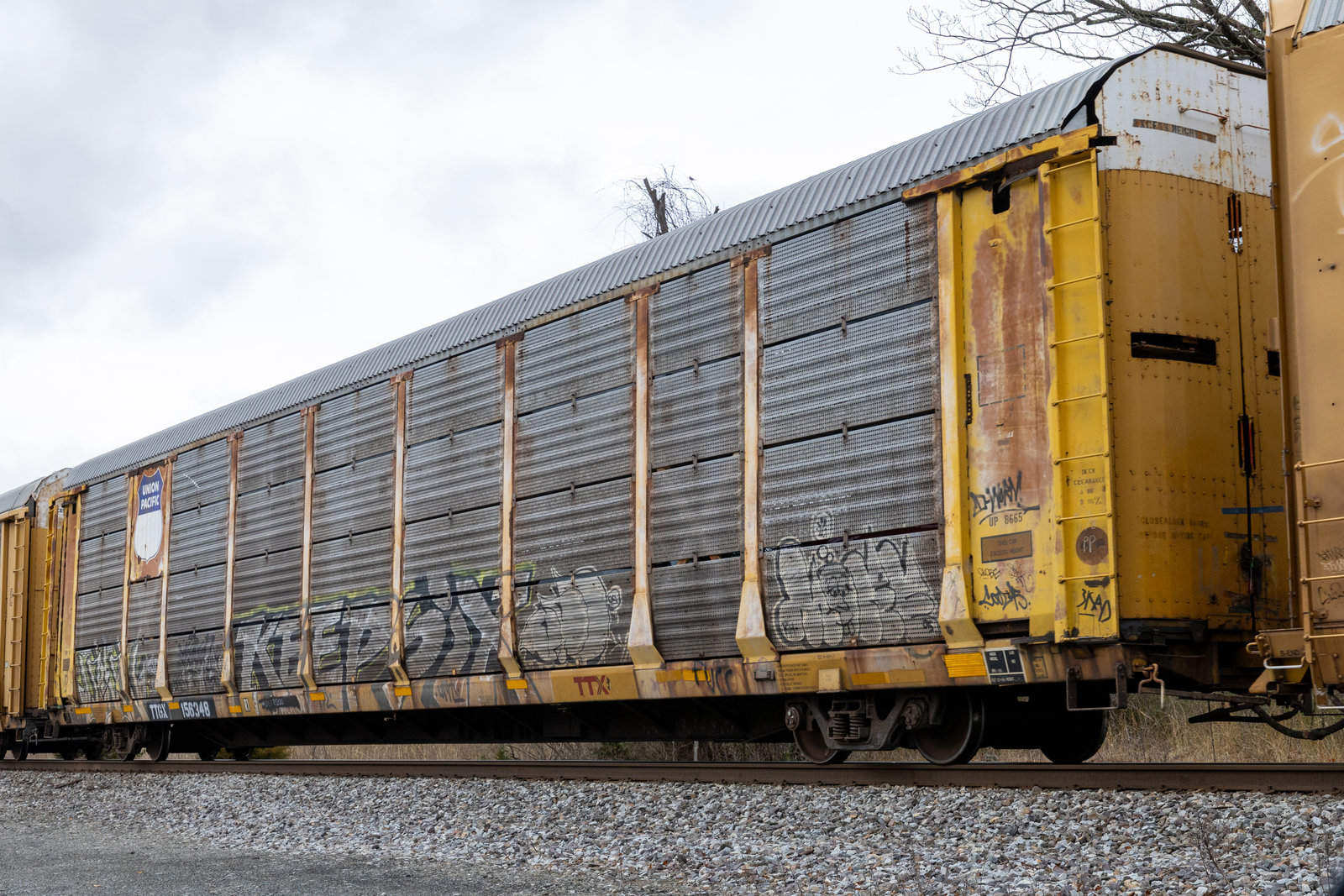 TTGX 156348