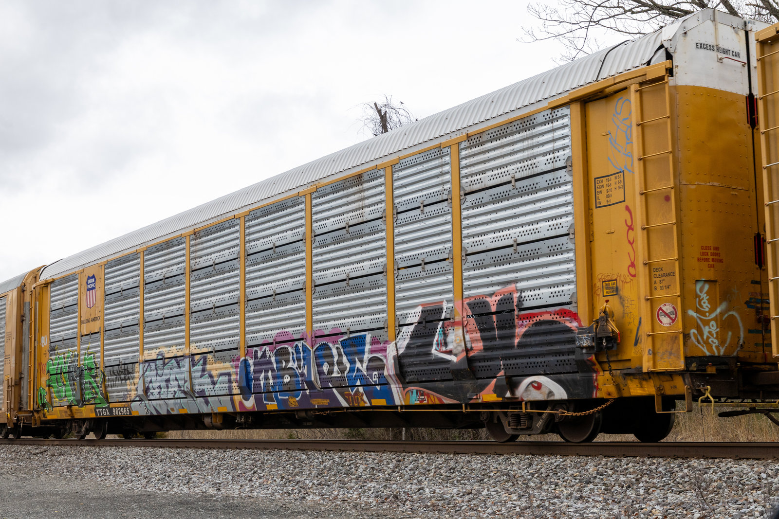 TTGX 982965