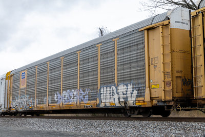 TTGX 987713