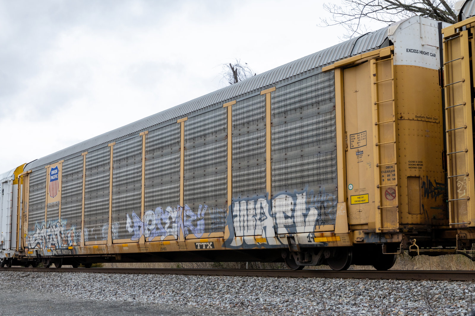 TTGX 987713