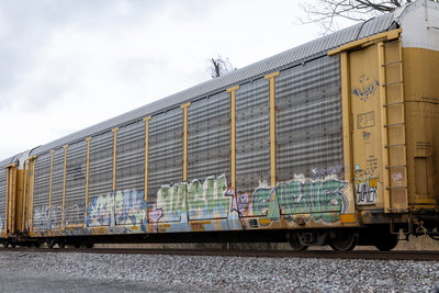 TTGX 995662