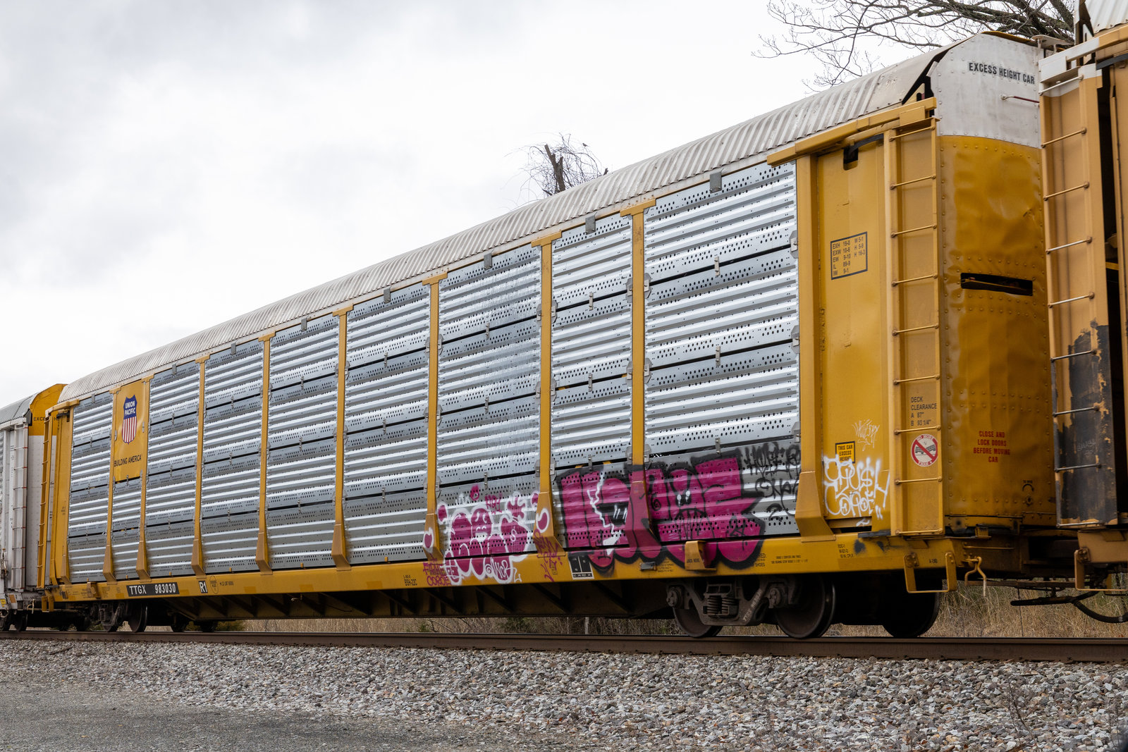 TTGX 983030