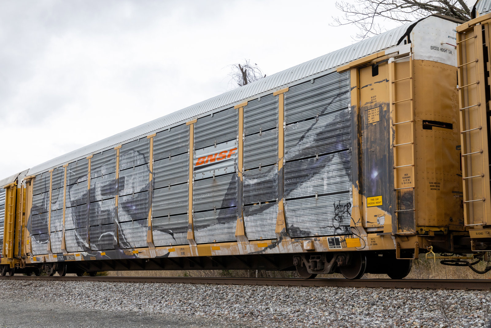 TTGX 962601