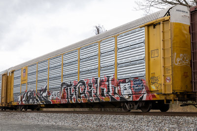TTGX 974718
