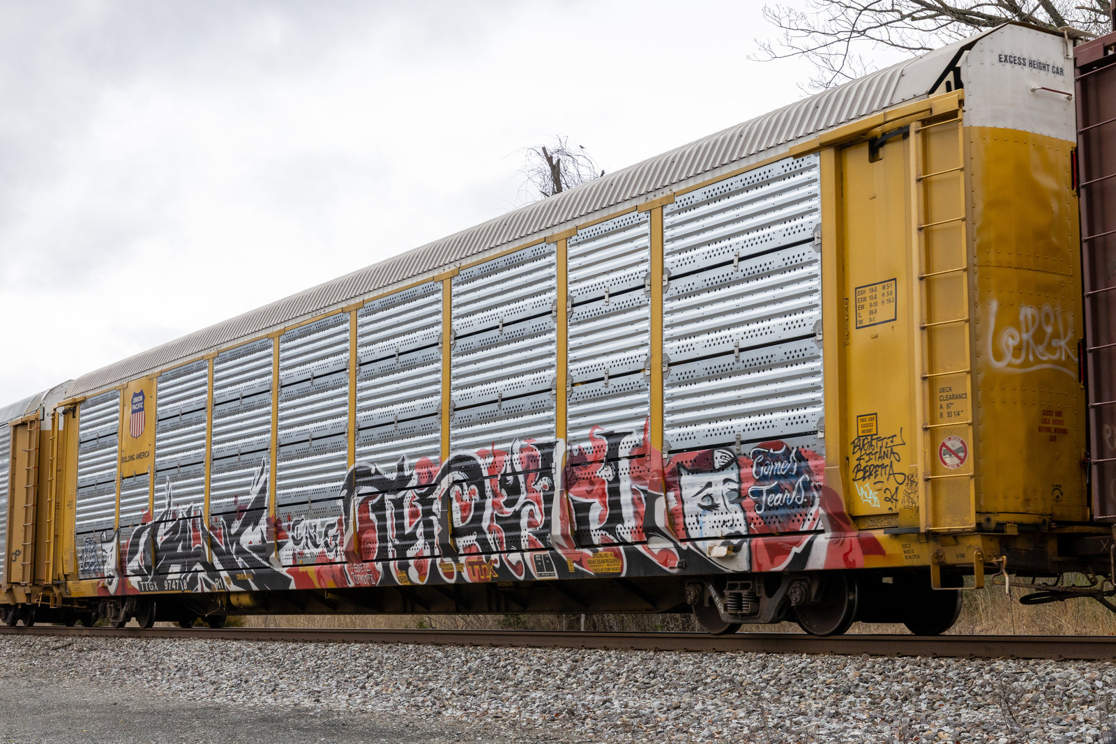 TTGX 974718