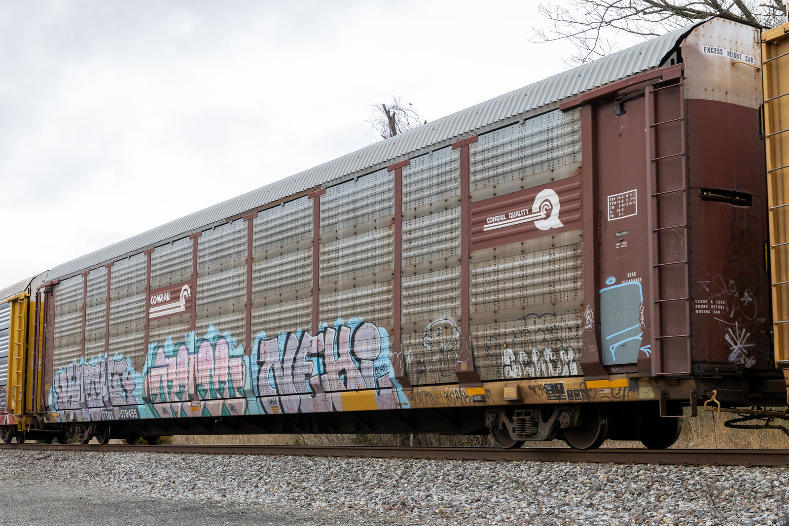TTGX 979455