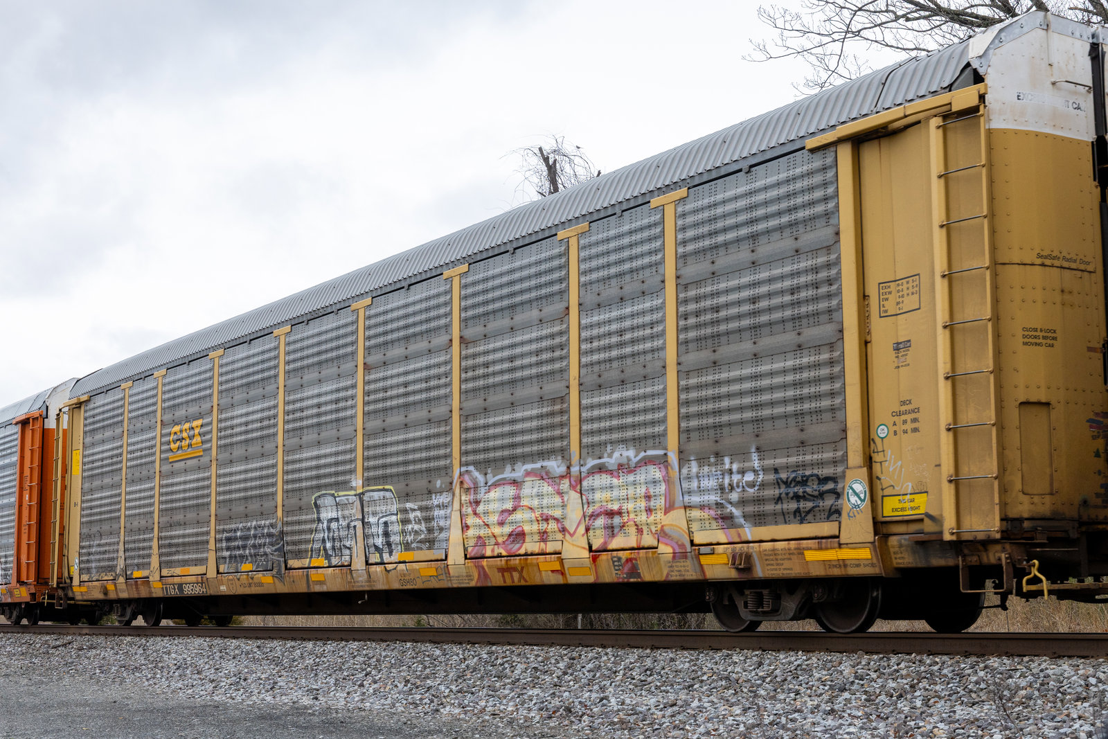 TTGX 995964