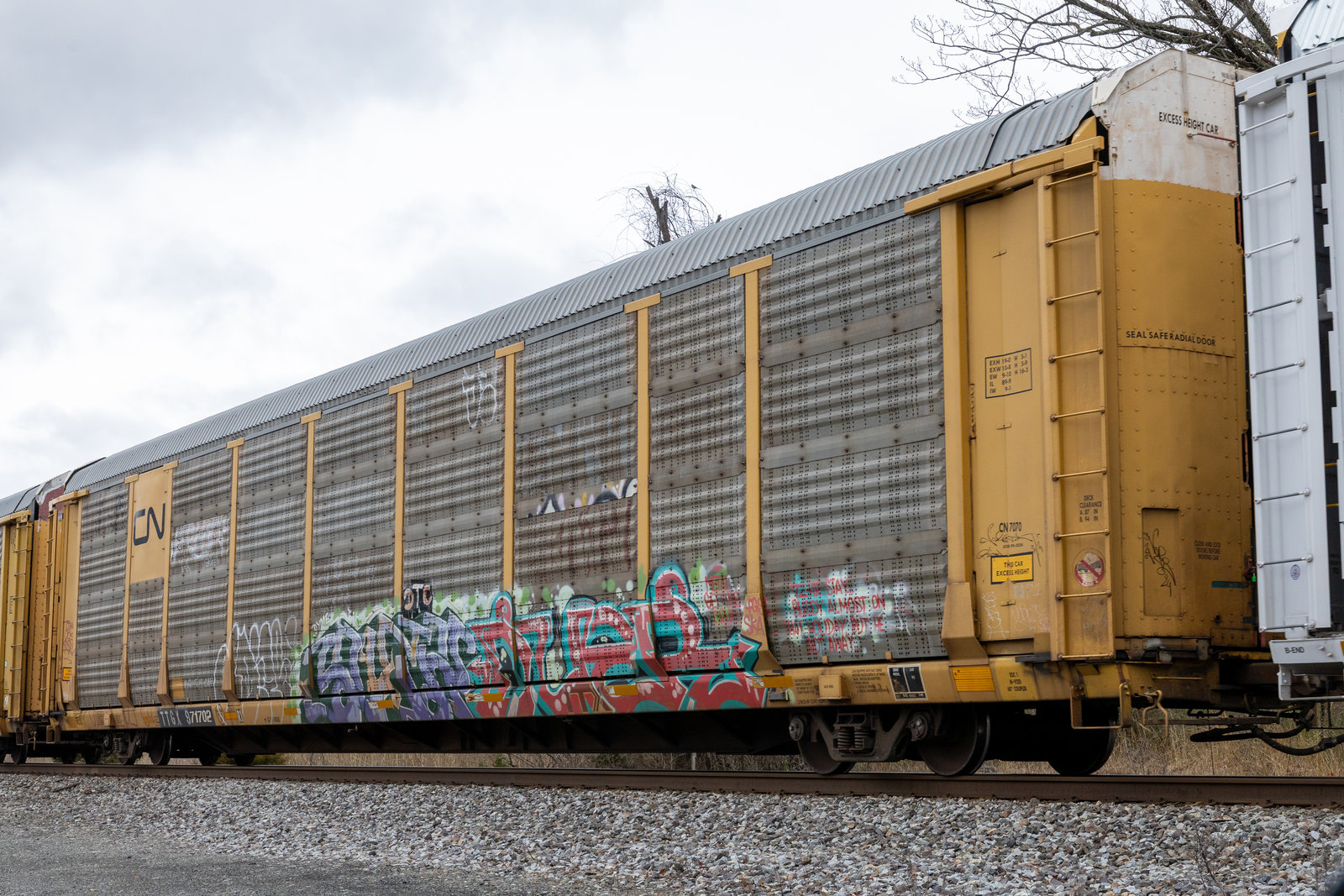 TTGX 971702