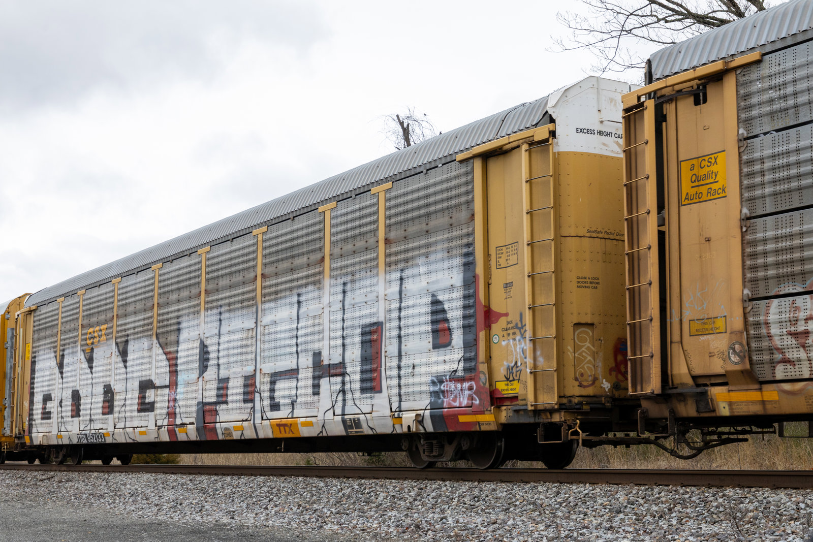 TTGX 952133