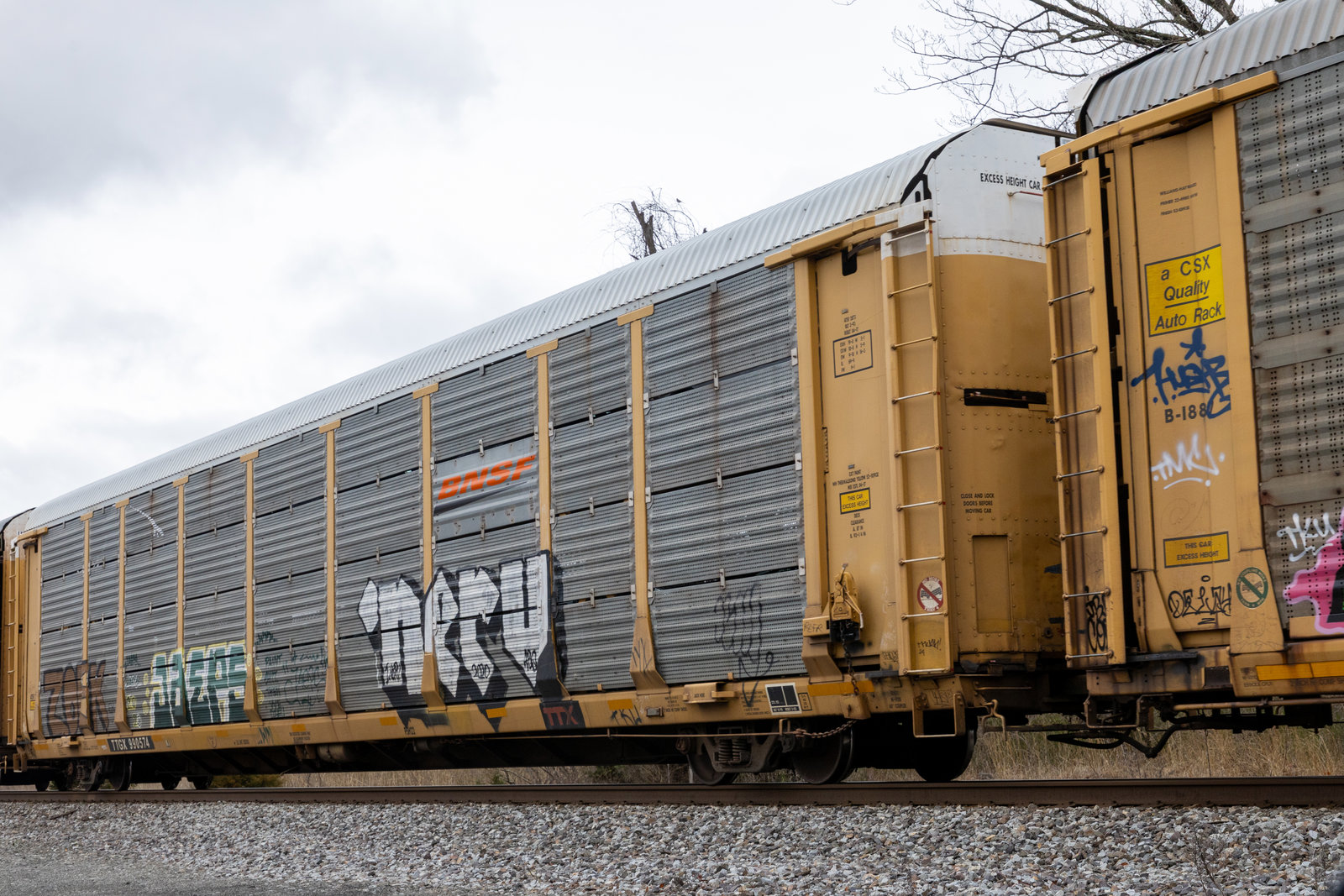TTGX 990574