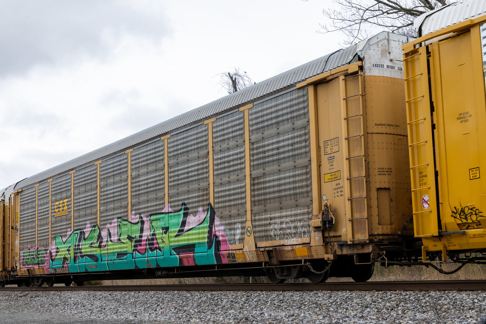 TTGX 986252