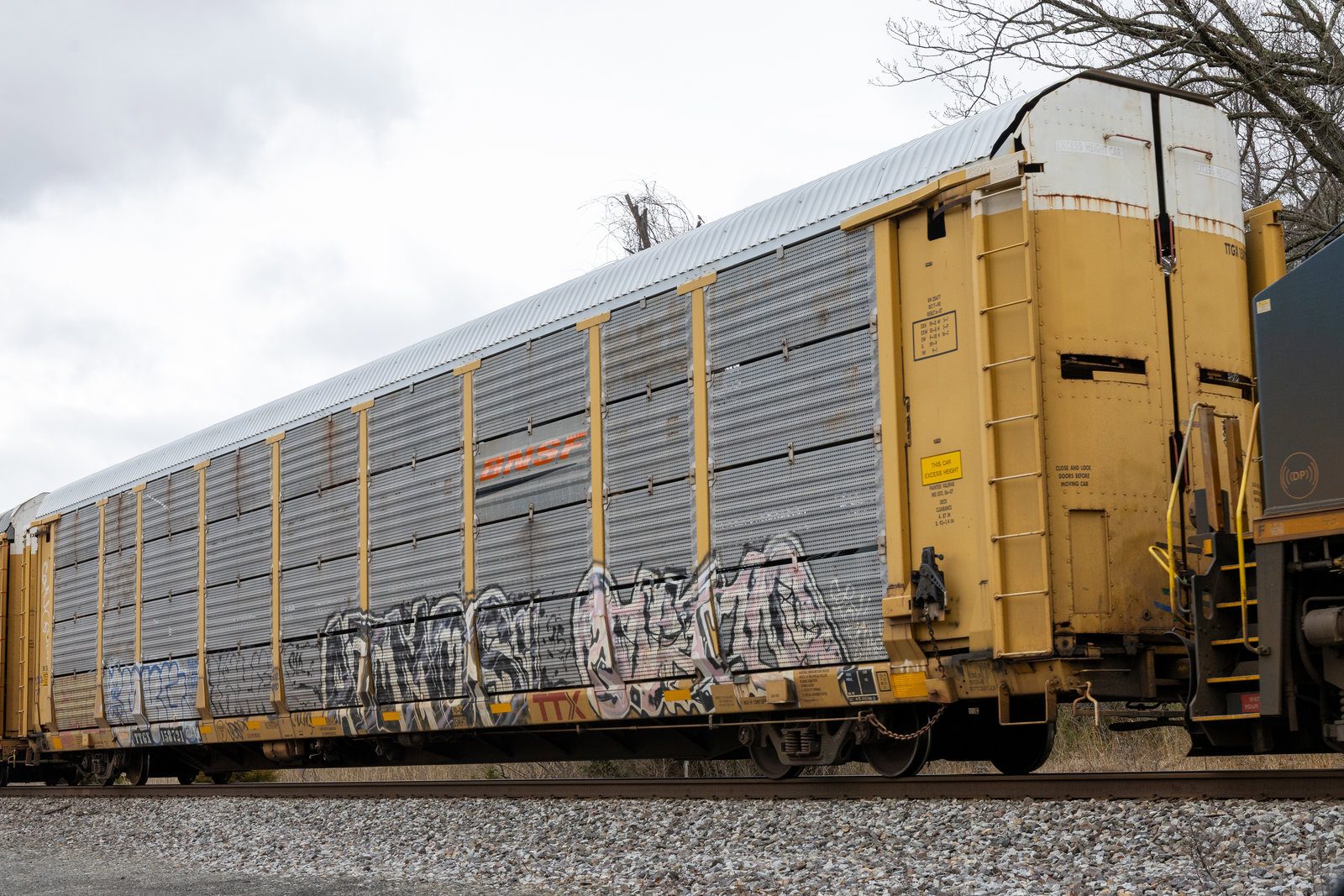 TTGX 158721