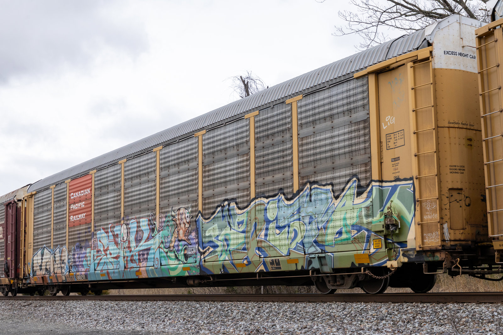 TTGX 988211