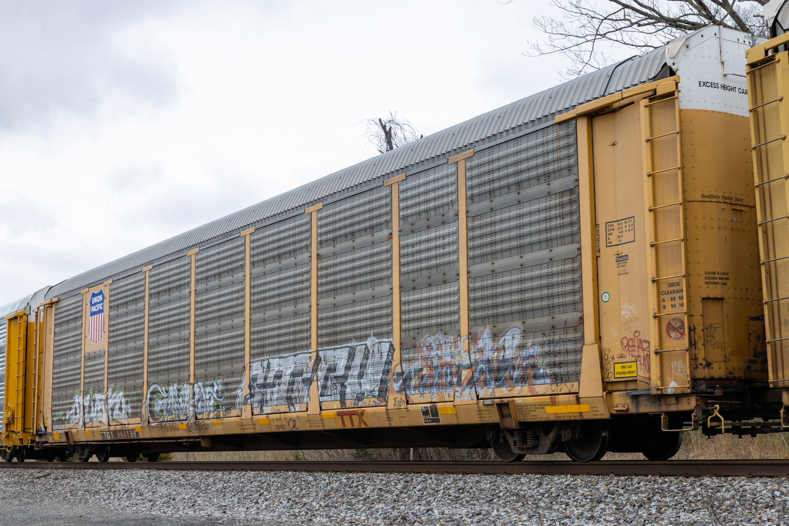 TTGX 988198