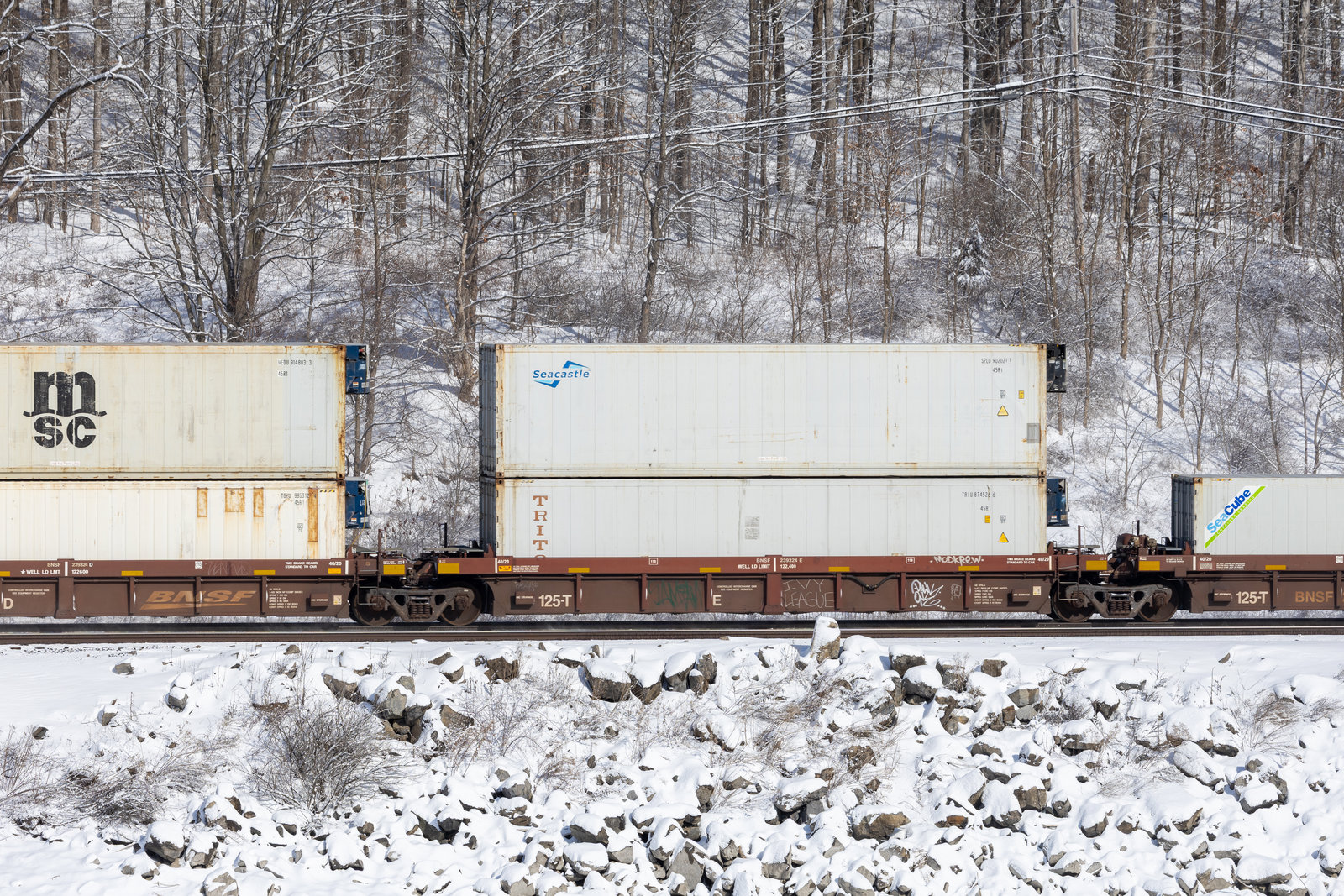 BNSF 239324E