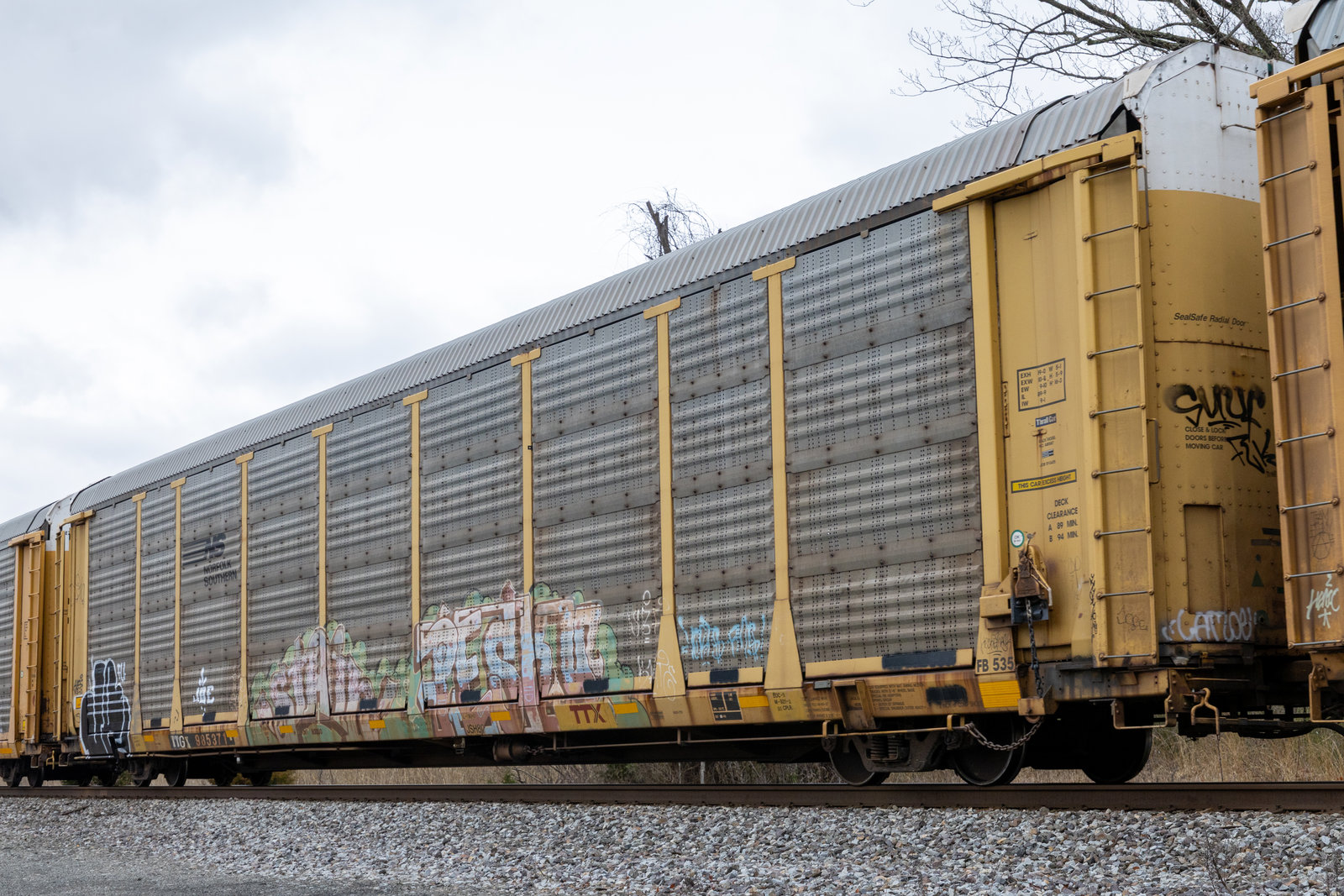 TTGX 985371