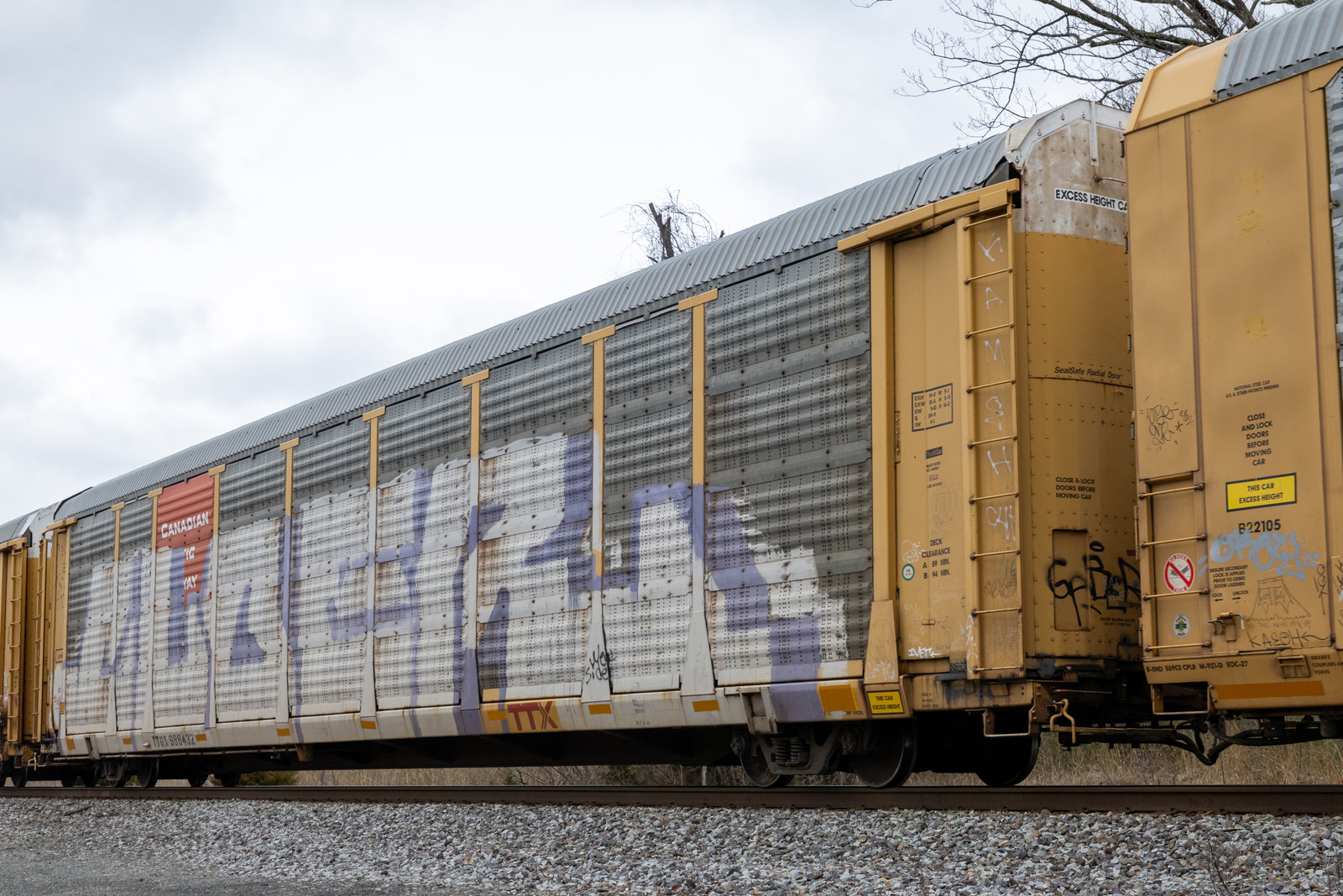 TTGX 988432
