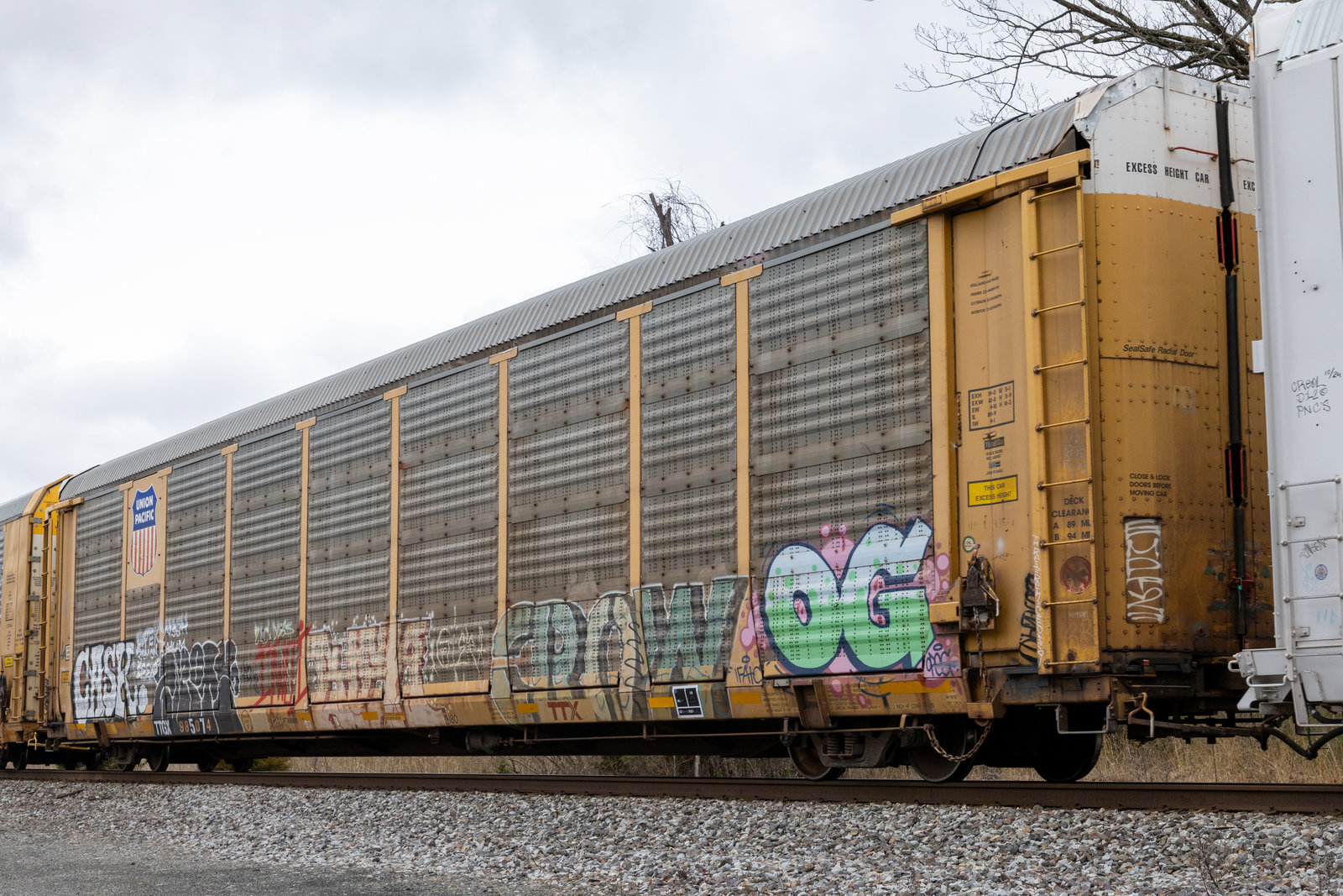 TTGX 985074