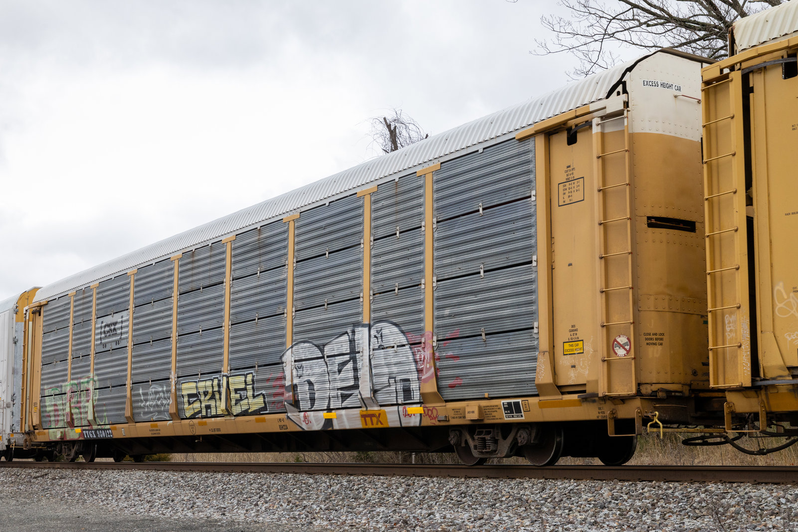 TTGX 980122