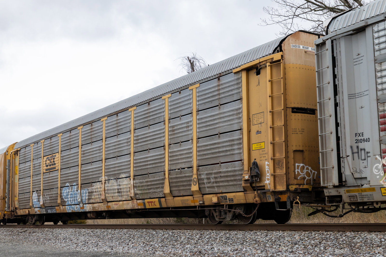 TTGX 981597