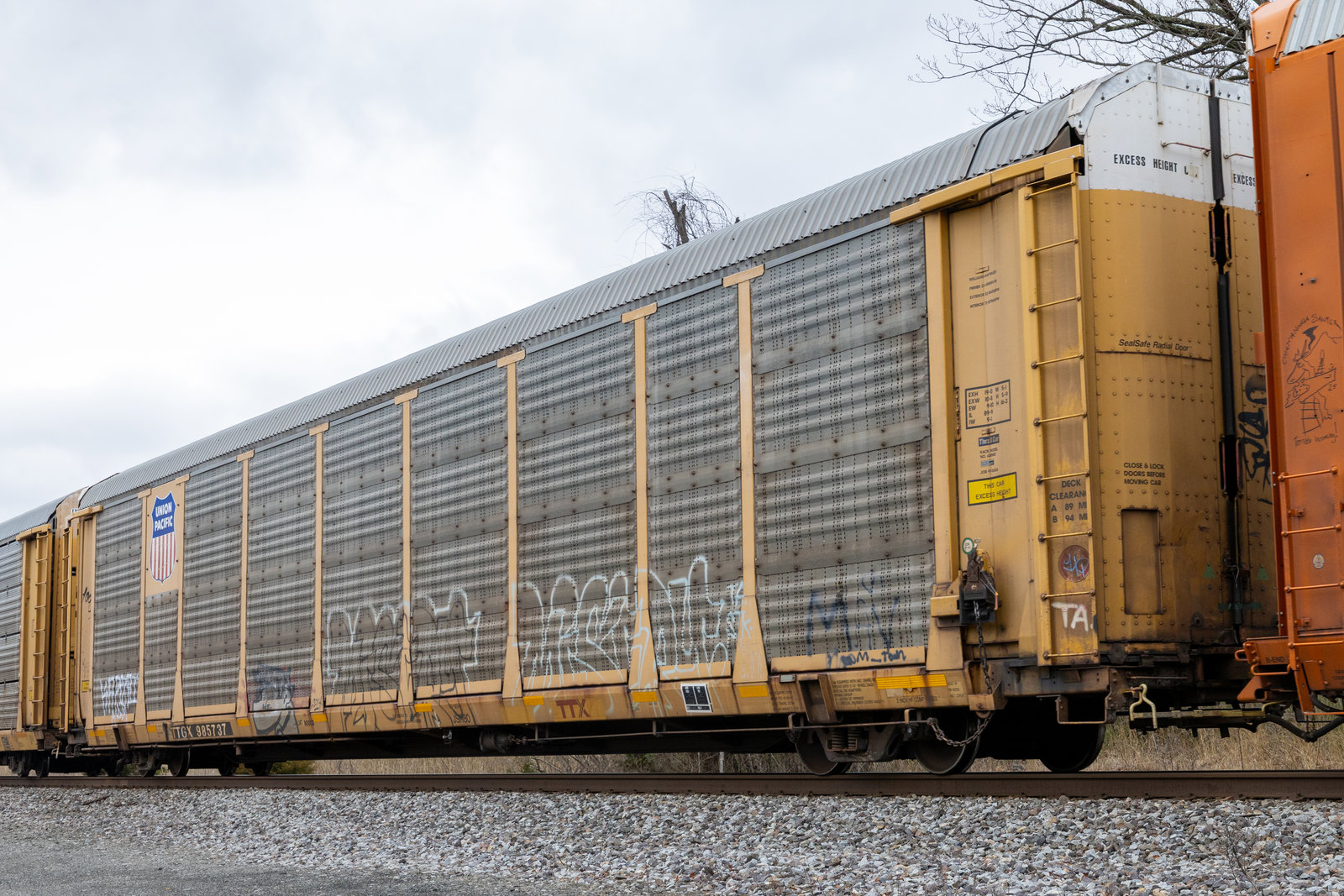 TTGX 985737