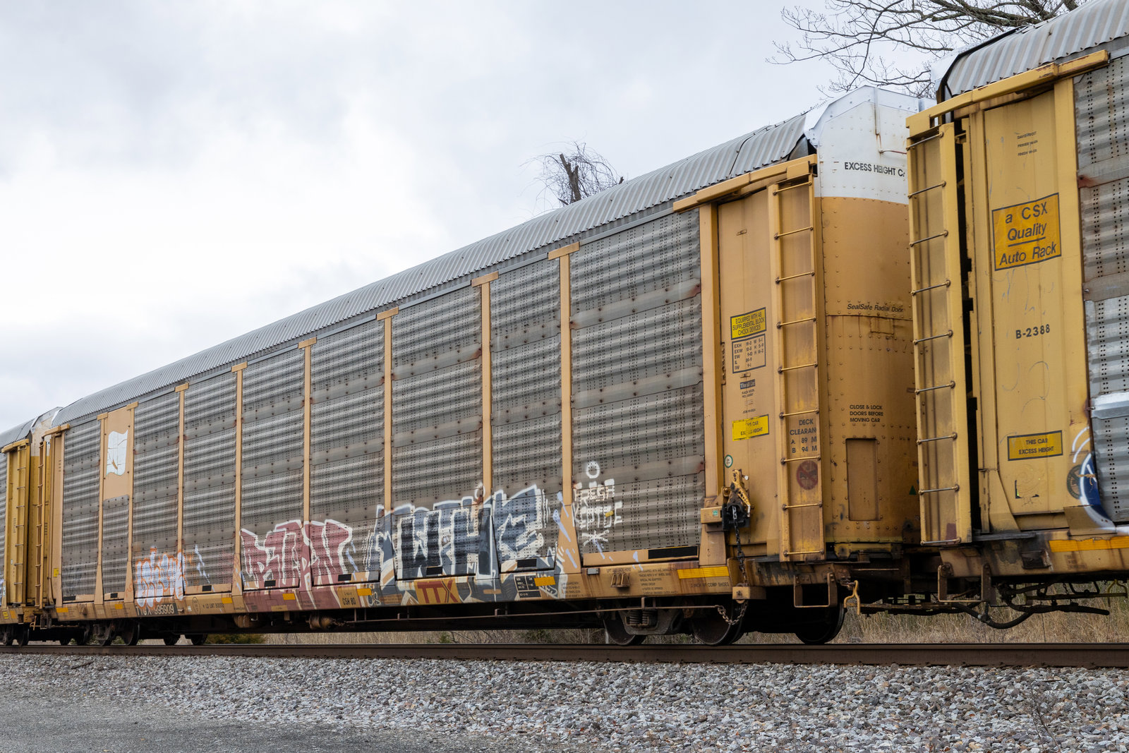 TTGX 995909