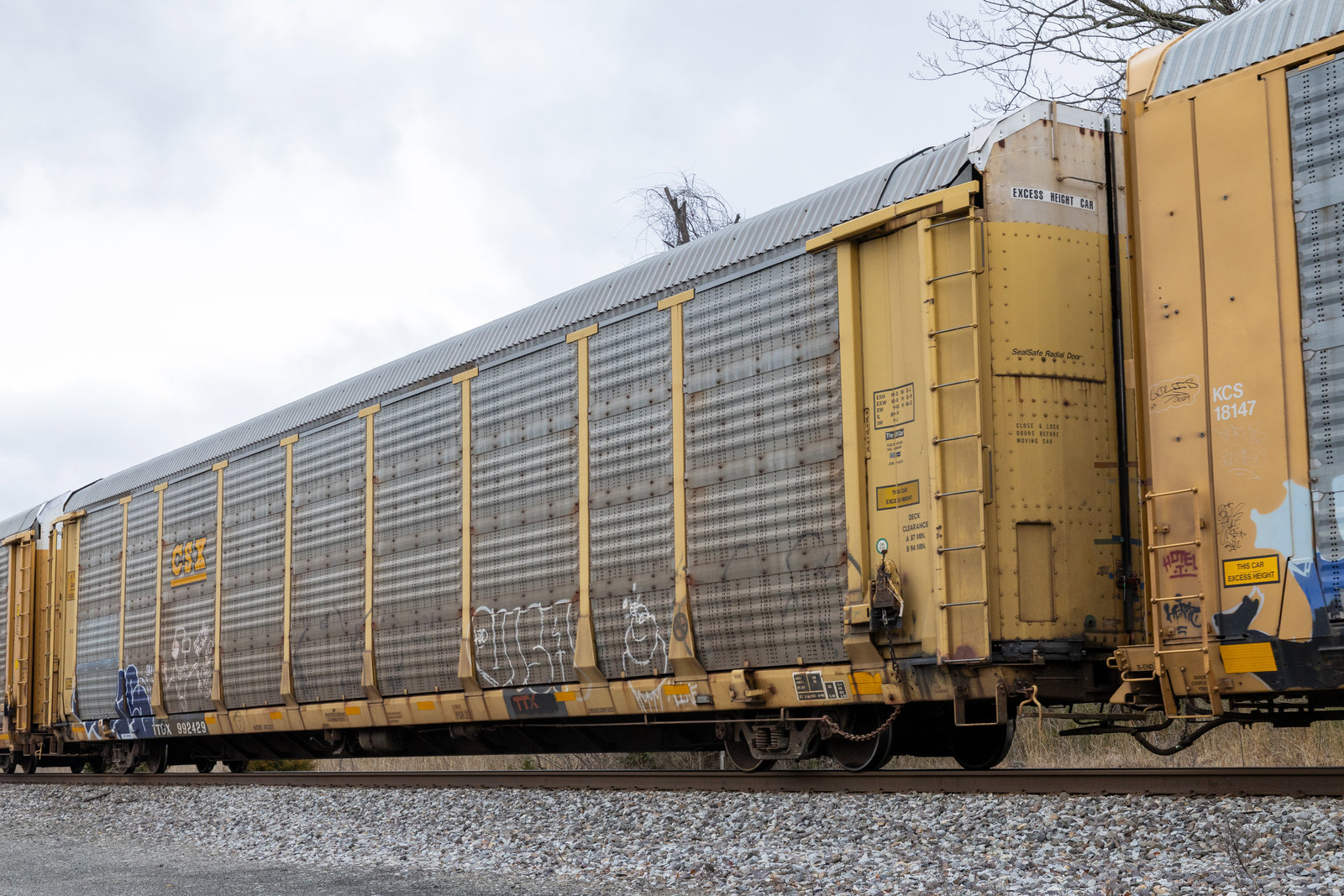 TTGX 995429