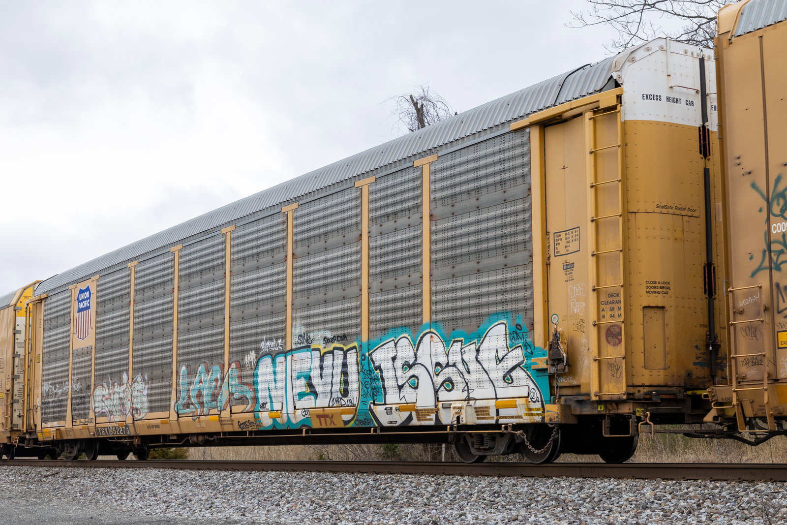 TTGX 952275
